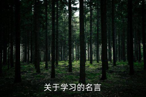 名人名言學習，學習的名人名言