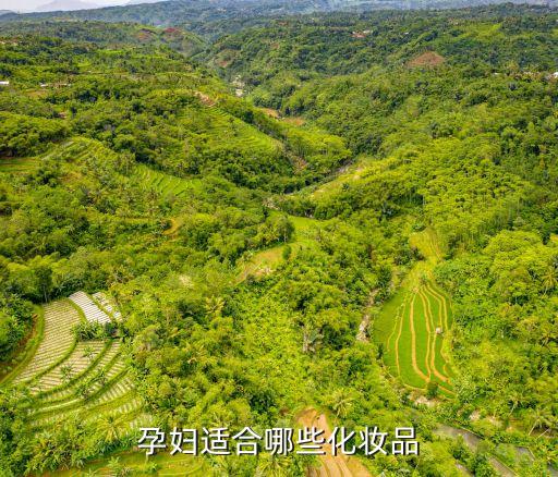 孕婦專用化妝品，懷孕專用護膚品有哪些