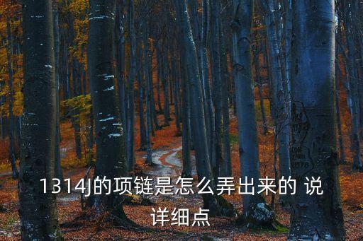 1314J的項鏈是怎么弄出來的 說詳細點