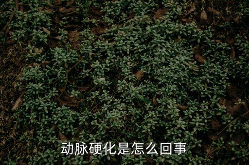 動脈硬化是怎么回事