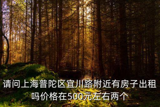 請問上海普陀區(qū)宜川路附近有房子出租嗎價(jià)格在500元左右兩個