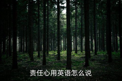 責任心用英語怎么說
