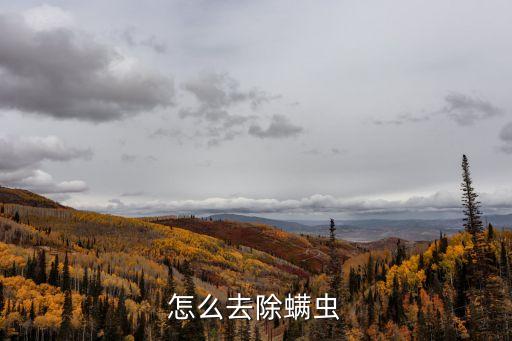 怎么去除螨蟲