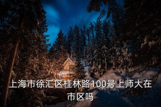 上海市徐匯區桂林路100號上師大在市區嗎