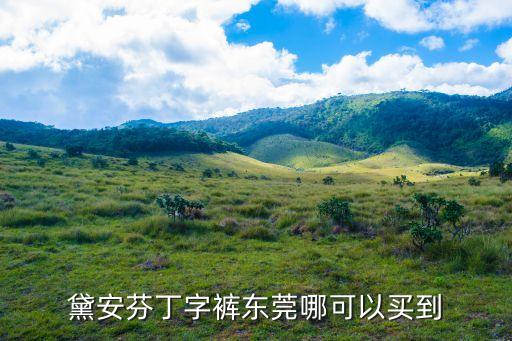 黛安芬丁字褲東莞哪可以買到