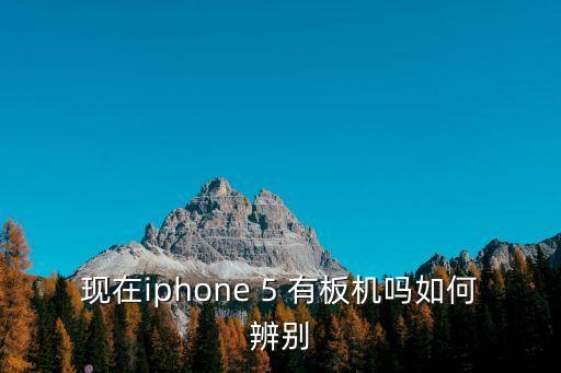 現在iphone 5 有板機嗎如何辨別