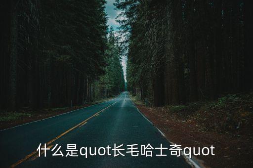 長(zhǎng)毛哈士奇，長(zhǎng)毛的哈士奇又叫什么