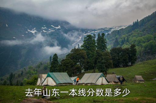去年山東一本線分數是多少