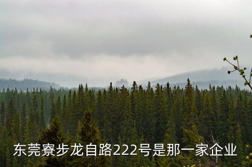 東莞寮步龍自路222號是那一家企業(yè)