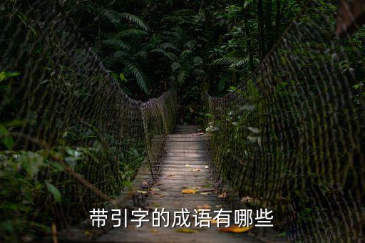帶引字的成語有哪些