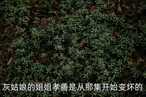 灰姑娘的姐姐孝善是從那集開(kāi)始變壞的