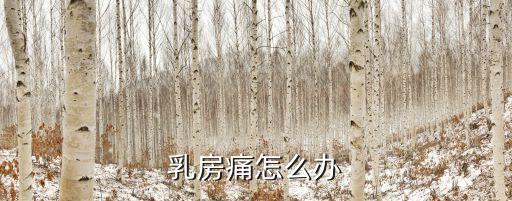 乳房痛怎么辦