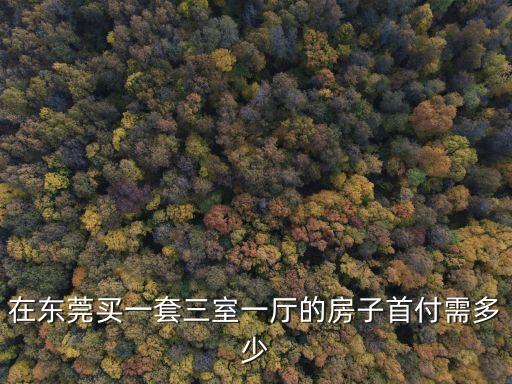 在東莞買一套三室一廳的房子首付需多少