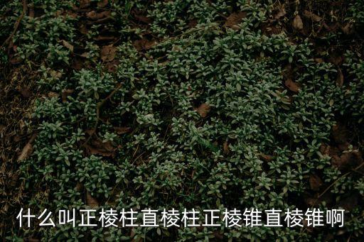 正棱錐的定義，正四棱錐的定義