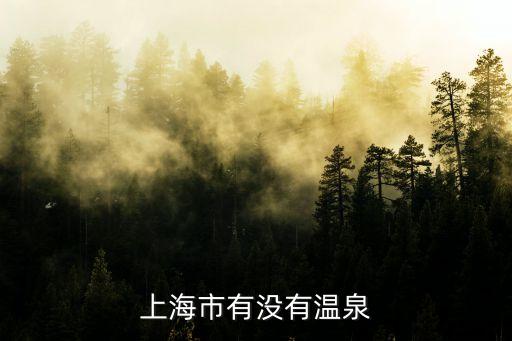 上海市有沒有溫泉
