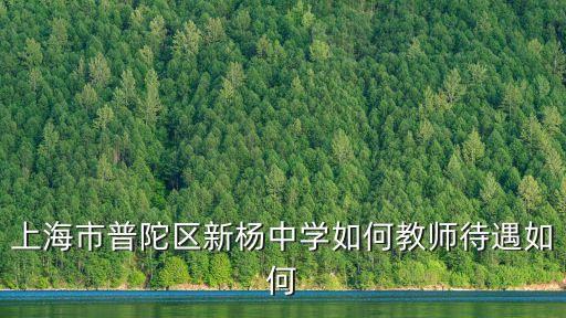 上海市普陀區(qū)新楊中學如何教師待遇如何