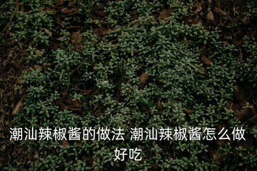 潮汕辣椒醬，潮汕牛肉丸店的辣醬做法