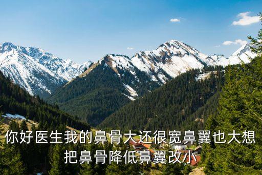 你好醫生我的鼻骨大還很寬鼻翼也大想把鼻骨降低鼻翼改小