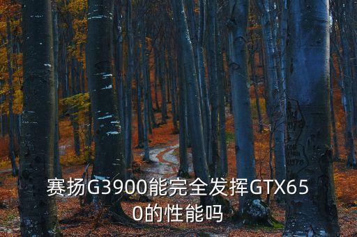 賽揚(yáng)G3900能完全發(fā)揮GTX650的性能嗎