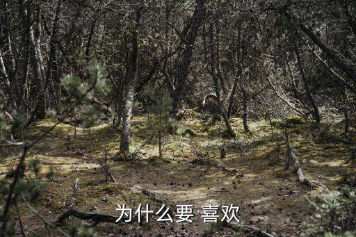 為什么要 喜歡