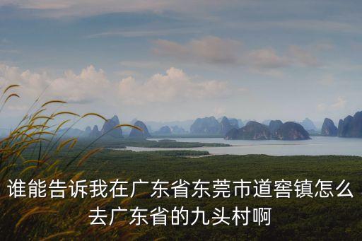 誰能告訴我在廣東省東莞市道窖鎮(zhèn)怎么去廣東省的九頭村啊