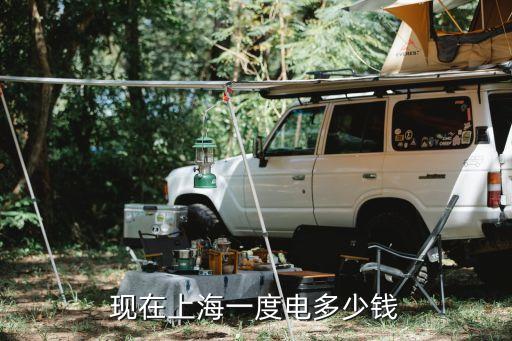 上海市電平谷費(fèi)用，上海的商業(yè)用電平谷峰