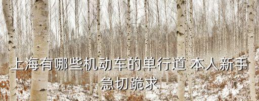 上海市五原路是單行道嗎，請問 上海市所有的機動車單行路的名稱和方向