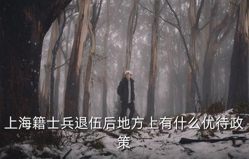 上海籍士兵退伍后地方上有什么優待政策