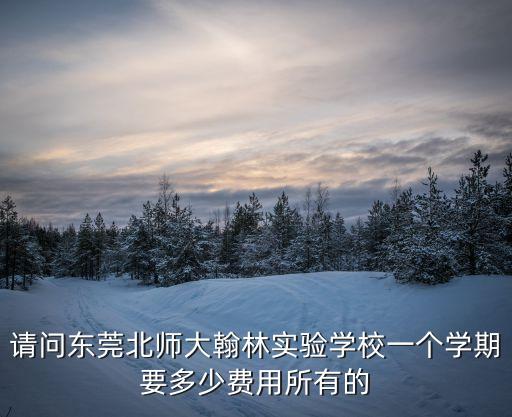 請問東莞北師大翰林實驗學校一個學期要多少費用所有的