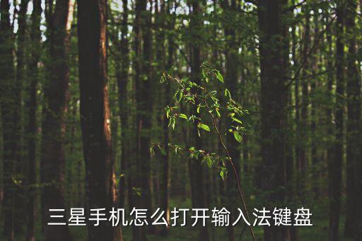 三星手機怎么打開輸入法鍵盤