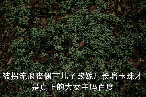 被拐流浪喪偶帶兒子改嫁廠長駱玉珠才是真正的大女主嗎百度