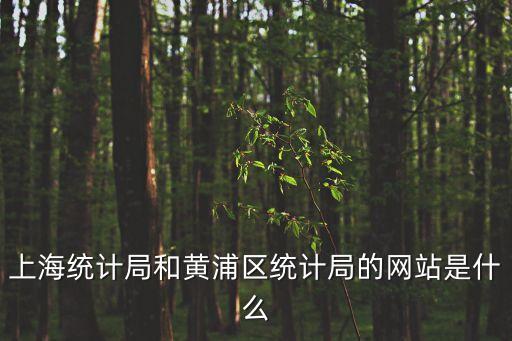 上海統(tǒng)計局和黃浦區(qū)統(tǒng)計局的網(wǎng)站是什么