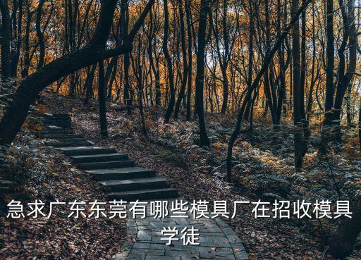 東莞順佳模具廠，東莞順佳木工刀具廠怎么樣