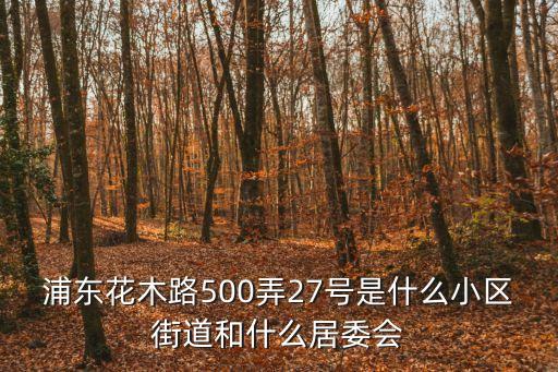 上海市浦東新區花木社區級別，浦東新區的錦安東路270弄是屬于花木街道嗎