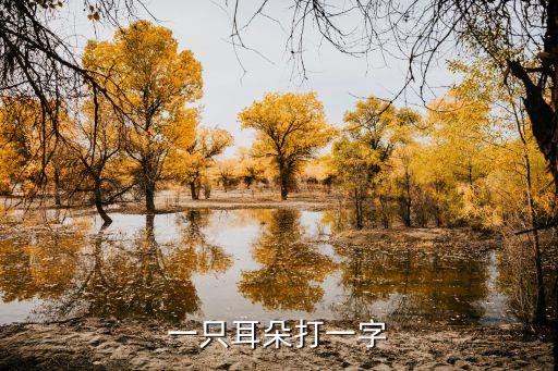 一只耳朵打一字
