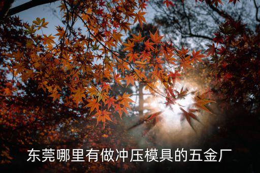 東莞哪里有做沖壓模具的五金廠