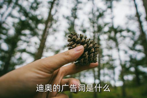 迪奧的廣告詞是什么