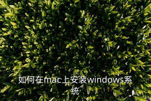 蘋果電腦系統重裝，怎樣在macbook air 里安裝windows系統
