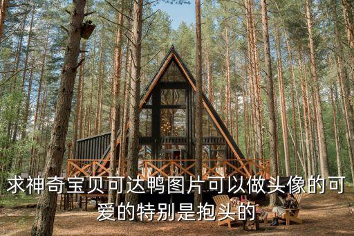 求神奇寶貝可達鴨圖片可以做頭像的可愛的特別是抱頭的