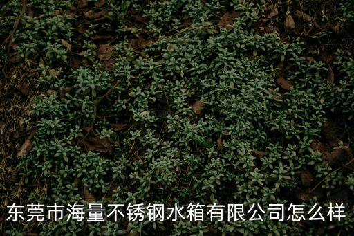 東莞水箱定做廠家，東莞不銹鋼保溫水箱不銹鋼水塔廠家
