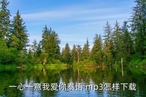 一心一意愛(ài)你，一心一意愛(ài)你的演唱者