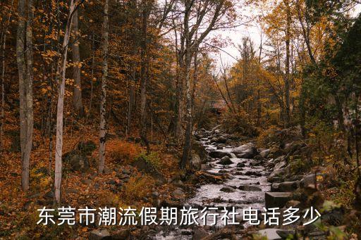 東莞市潮流假期旅行社電話多少