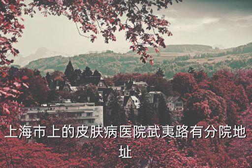 上海市皮膚病醫(yī)院武夷路電話多少，上海武夷路皮膚病醫(yī)院的掛號(hào)地址