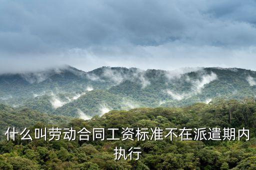 勞動標準，什么叫勞動合同工資標準不在派遣期內執行