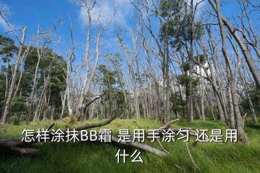 怎樣涂抹BB霜 是用手涂勻 還是用什么