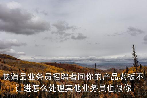 快消品業務員招聘者問你的產品老板不讓進怎么處理其他業務員也跟你