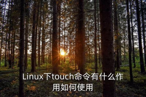 Linux下touch命令有什么作用如何使用