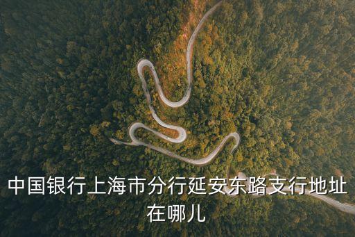 中國銀行上海市分行延安東路支行地址在哪兒