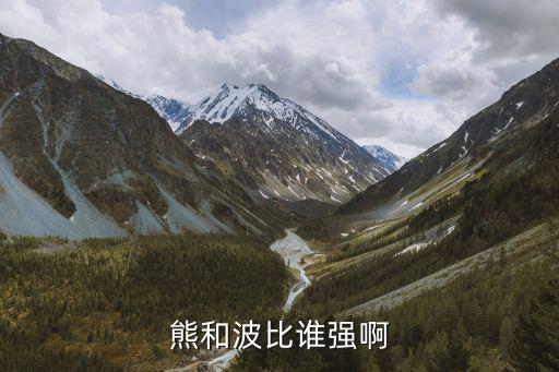 熊和波比誰強(qiáng)啊