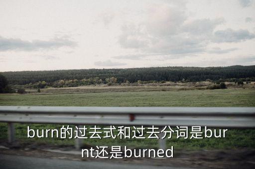 burn的過去式和過去分詞是burnt還是burned